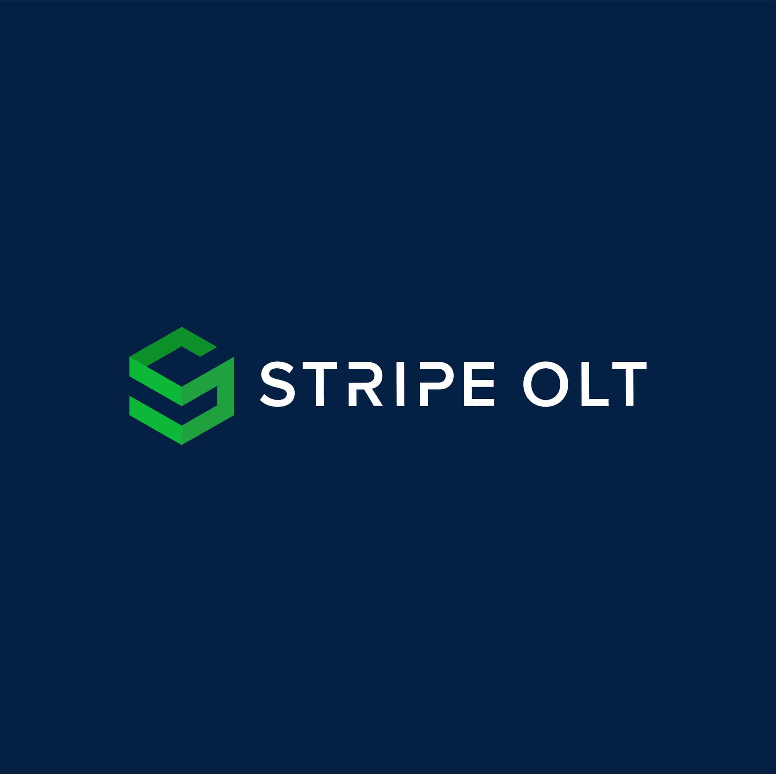 Stripe-Core-Logo-Reverse