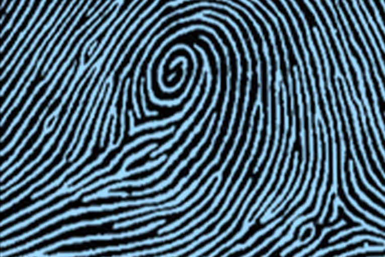 Central pocket types of fingerprints.
