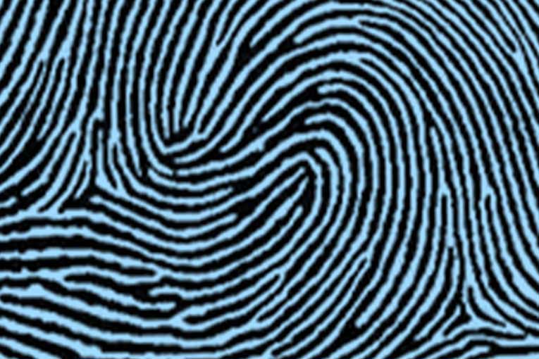 Double loop types of fingerprints.