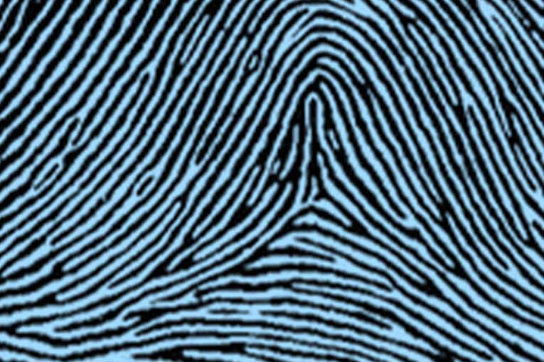 Tented arch types of fingerprints.