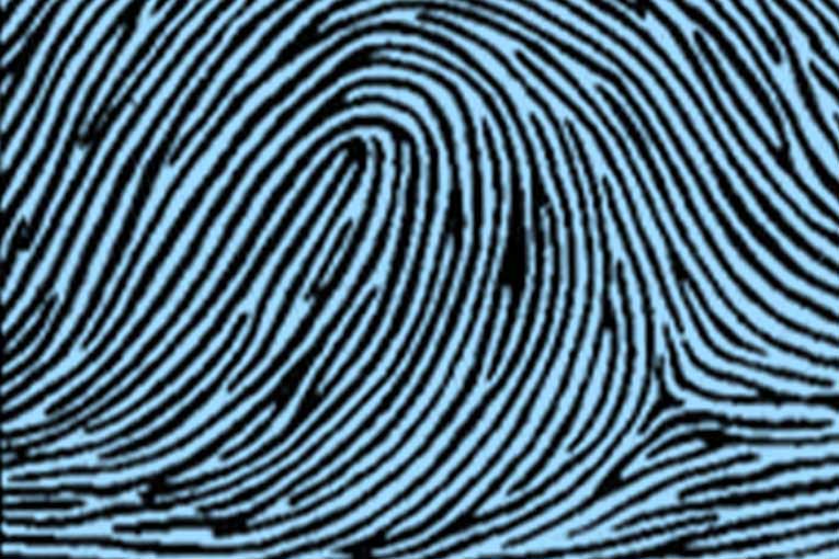 Ulnar loop types of fingerprints.