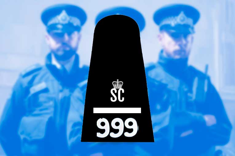 section officer british police ranks