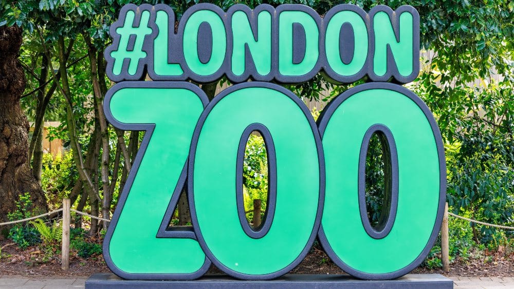 London-Zoo-announces-partnership-with-Pinnacle-Systems-and-Amulet