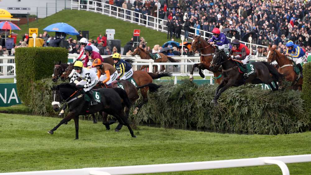 The Halo System rolled out across 14 racecourses